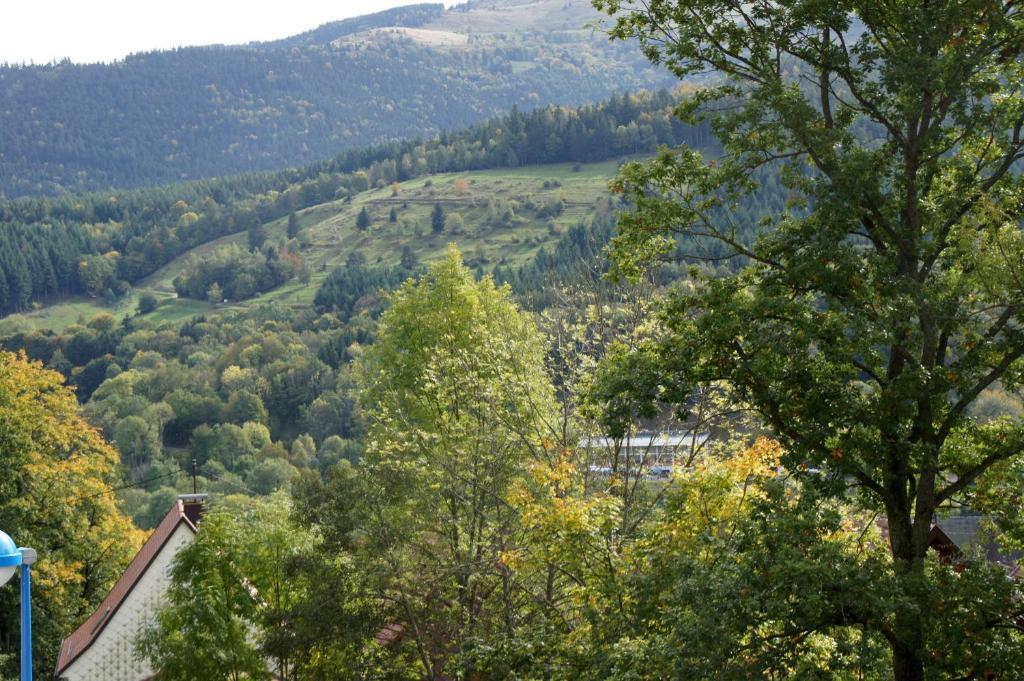 Hotel Restaurant Perle Des Vosges Muhlbach-sur-Munster Εξωτερικό φωτογραφία